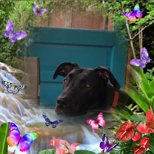 Meet your Posher, Kimberlyn